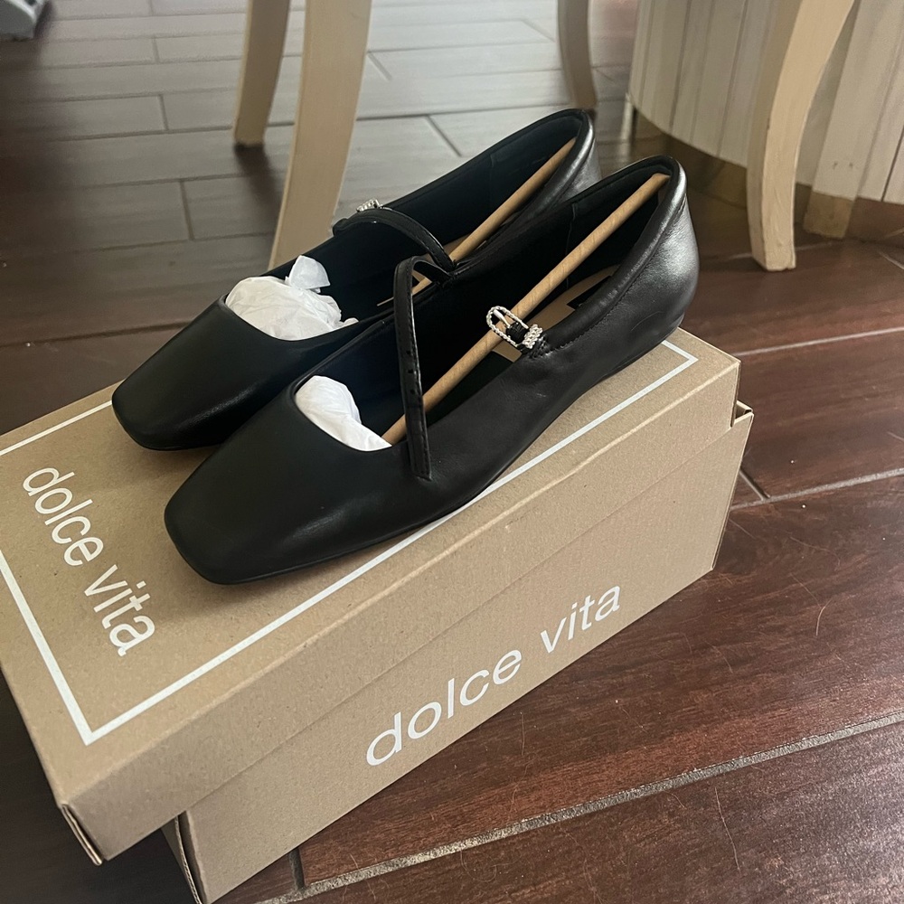 dolce vita reyes ballet flats